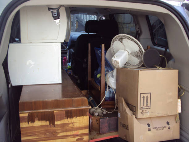 Best Shed Removal  in Manning, SC